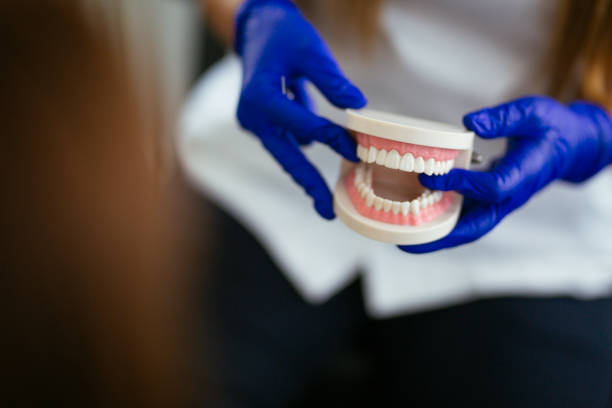 Trusted Ward, AR  Holistic Dental Services Experts